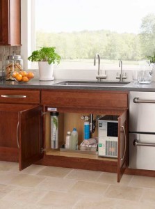 everpure-water-filter-chicago-h300-kitchen-undersink